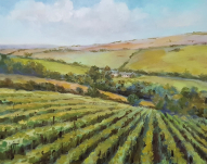 Camel Valley vineyard. Acrylic on canvas board 8" x 10" Unframed